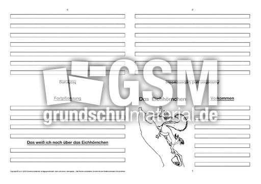 Eichhörnchen-Faltbuch-Steckbrief-vierseitig-4.pdf